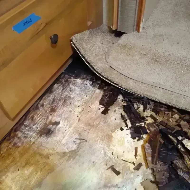 Wood Floor Water Damage in Center, NE